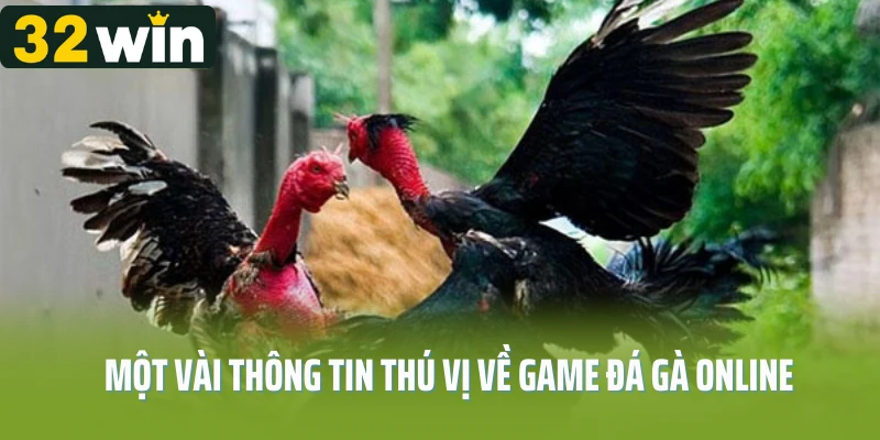 Một vài thông tin thú vị về game đá gà online 