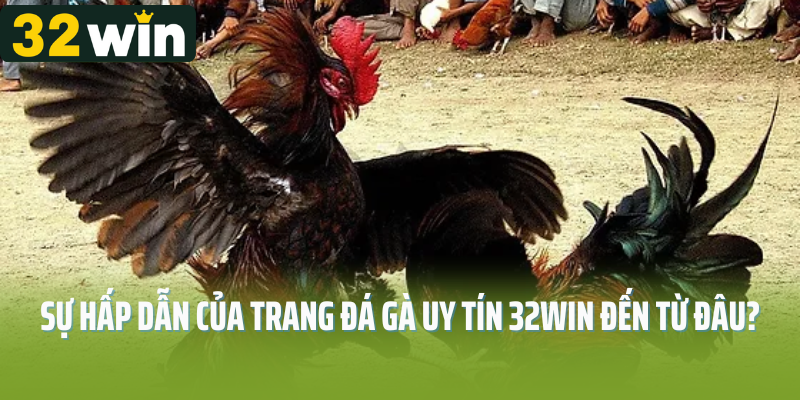 Sự hấp dẫn của trang đá gà uy tín 32Win đến từ đâu?