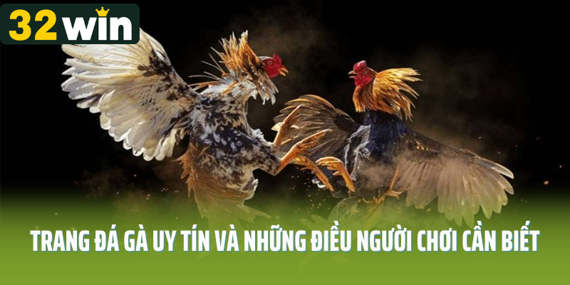 Trang đá gà uy tín và những điều người chơi cần biết
