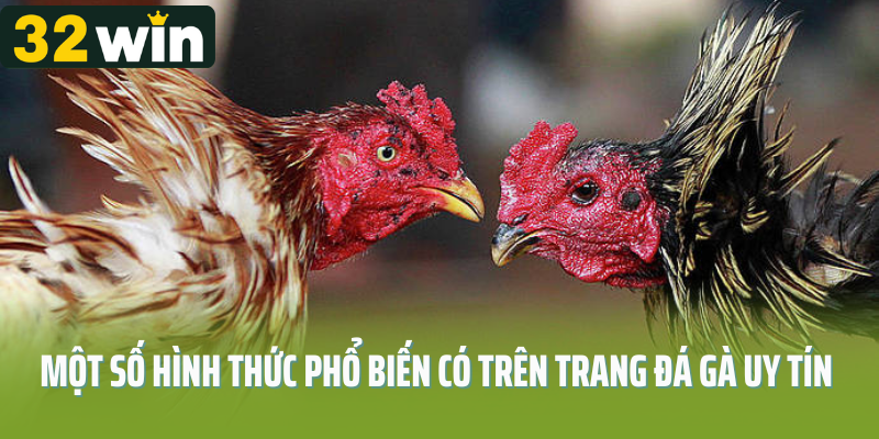 Một số hình thức phổ biến có trên trang đá gà uy tín