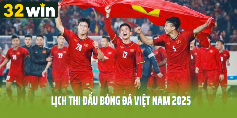 lịch thi đấu bóng đá việt nam 2025