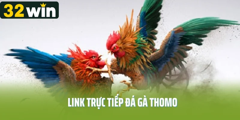 link trực tiếp đá gà thomo